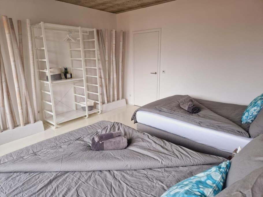 Exklusives Design-Penthouse Mc1 Leilighet Seligenstadt Eksteriør bilde